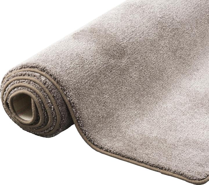 Produktbild Snapstyle Hochflor Luxus Velours Teppich Touch (200 x 200 cm)