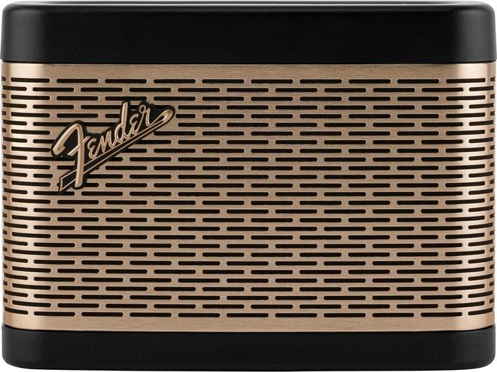 Immagine prodotto Fender Nuova porta2 (12 h)