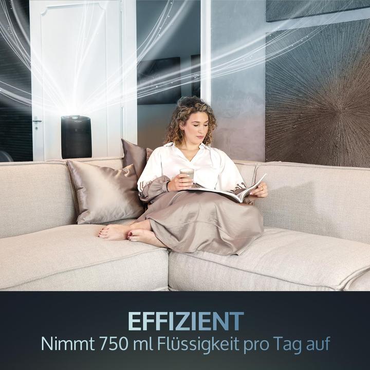 Immagine prodotto JAP Enivio D6 - Filtro per luchtontvochtiger con filtro - Grande capacità - Luchttreiniger 2in1 - (25 m²)