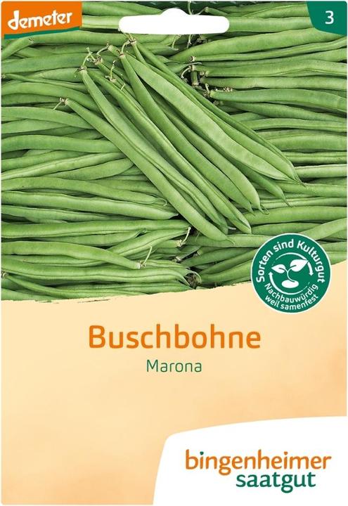 Bingenheimer Saatgut Fagiolo Marona