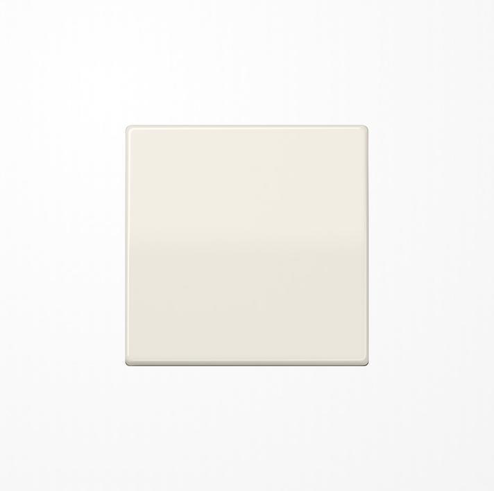 Actual product image JUNG Rocker