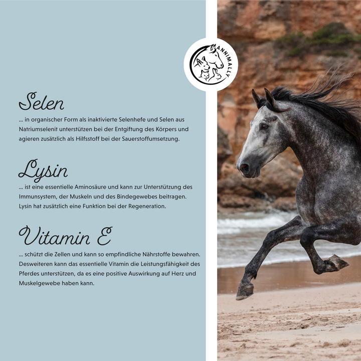 Produktbild Annimally Vitamin E / Selen & Lysin (800 g)