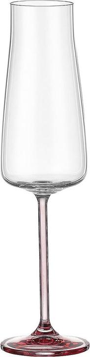 Bohemia Cristal Calice da champagne di selezione Alex rose (106.89 cl, 1 Vetro, Bicchieri da champagne)