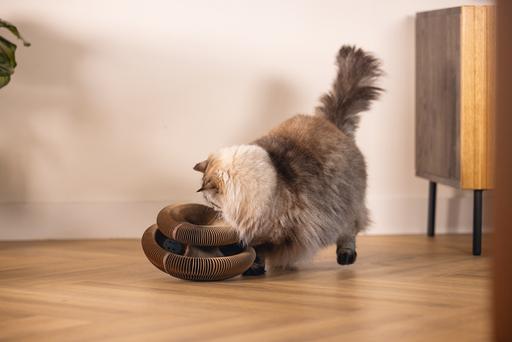 Actual product image Beeztees Hide (10 cm, Rose)