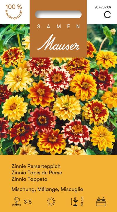 Image du produit Samen Mauser Zinnia tapis persan mélange (Graines de fleurs)
