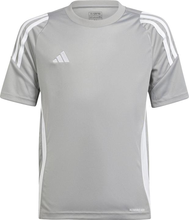 tmmdgr, White
