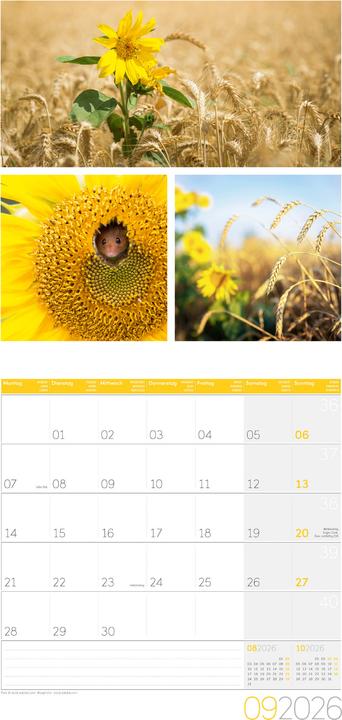 Image du produit Colours of Nature Kalender 2026 - 30x30 (30 x 30 cm, Couverture rigide, Français, Anglais, Italien)