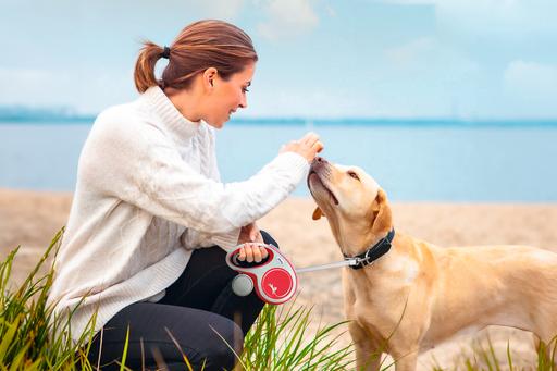 Actual product image Flexi New Comfort belt (S, Dog, Walks)