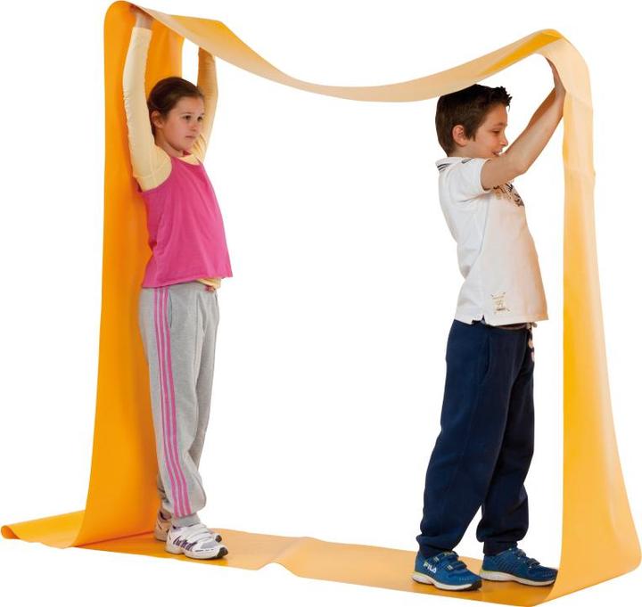 Actual product image Kübler Sport Caterpillar (treadmill)