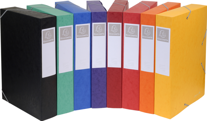 Actual product image Exacompta Archive boxes (A4)