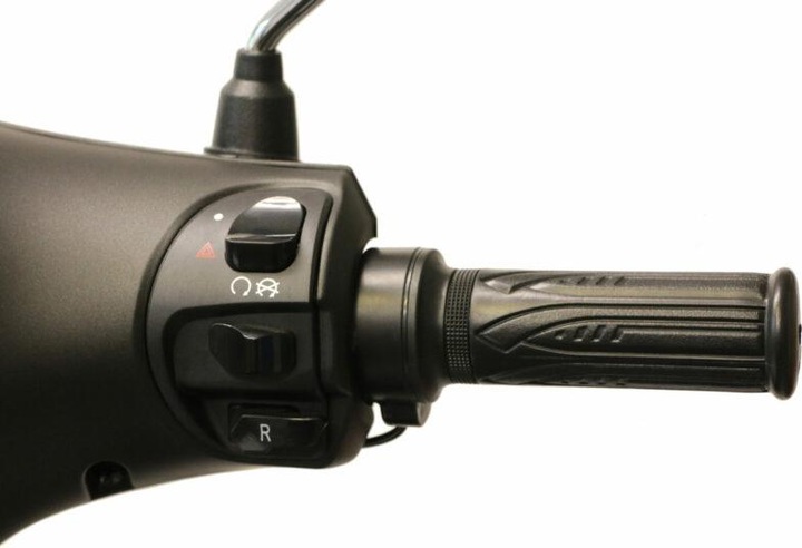 Actual product image ecoro Syra 45 (45 km/h, 3000 W)
