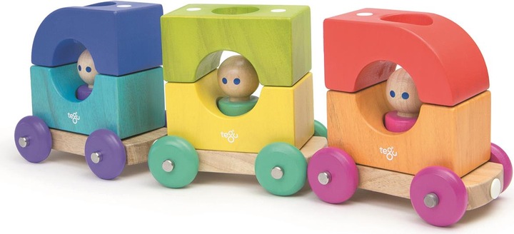 Actual product image Tegu Tram