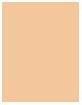 Image du produit Shiseido Synchro Skin Self Refreshing Fond de Teint No 230 (230 Aulne)