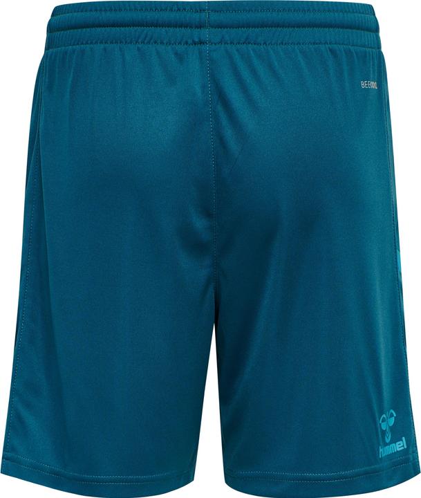 bluecorale