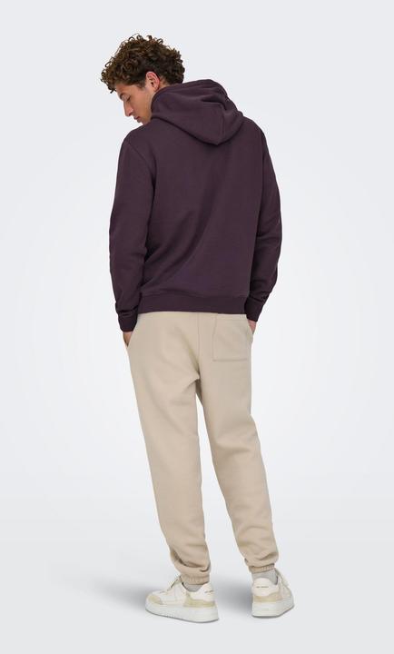 Image du produit Only & Sons ONSCURATED Sweatshirt Kapuzenpullover (XL)