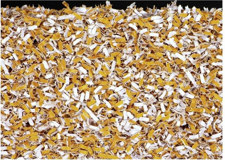 Actual product image Hama Prime M80