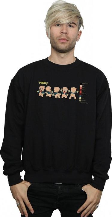 Produktbild Looney Tunes Porky Pig Colour Code Sweatshirt (3XL)