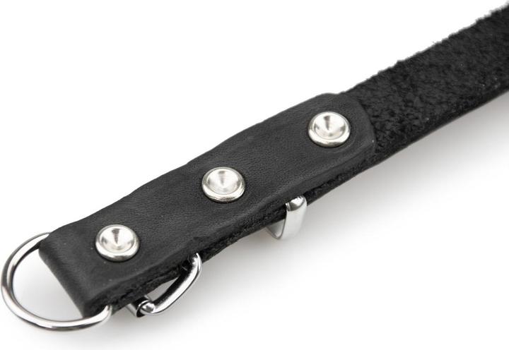 Produktbild Karlie Halsband Rondo mit Zugentlastung (L, Hund, Hundesport)