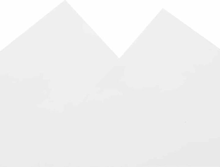 Immagine prodotto vidaXL Telone 600 /m² (8 x 6 m)