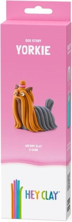 Hey Clay – Yorkie-Hund