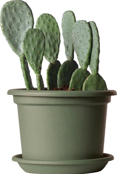 Immagine prodotto Euro 3 plast Guya più verde (40 cm)