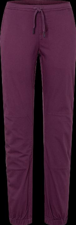 Actual product image Black Diamond Notion Climbing Pants (XL)