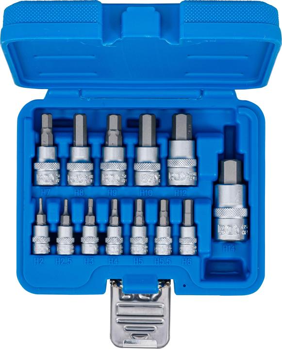 Productafbeelding BGS Bits insert set (6 mm, 5,5 mm, 7 mm, 3 mm, 5 mm, 10 mm (binnenzeskant), 10mm, 8 mm, 2,5 mm, 9 mm, 2 mm, 12,0 mm, 4 mm)