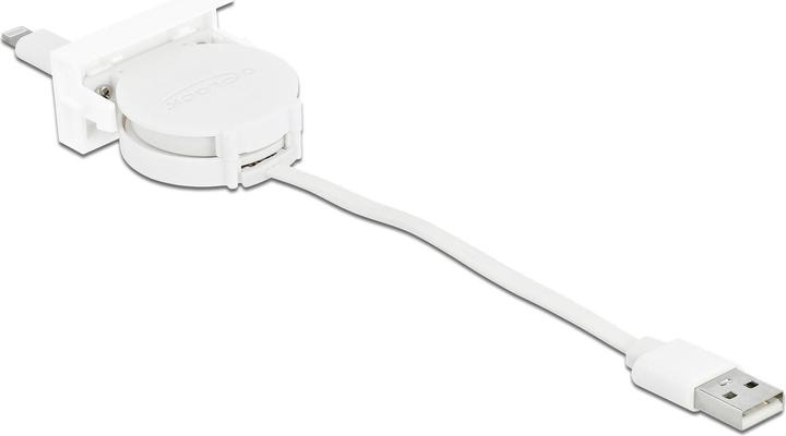 Produktbild Delock USB A — USB A (0.50 m, USB 2.0)