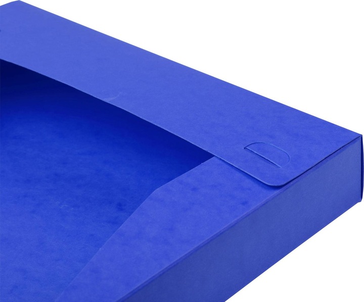 Actual product image Exacompta Archive boxes (A4)