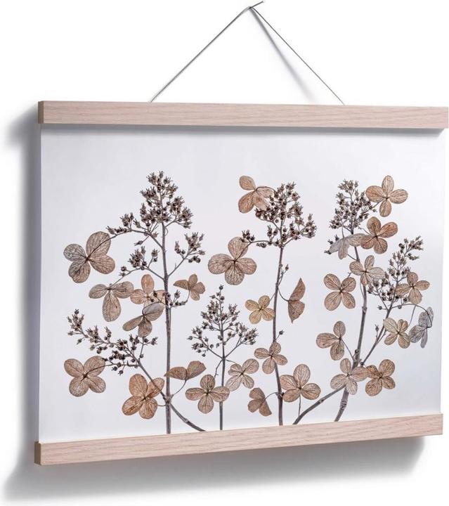 Actual product image Trenddeko Dried flowers (50 x 40 cm)
