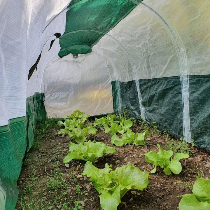 Image du produit Bio Green Super Dome