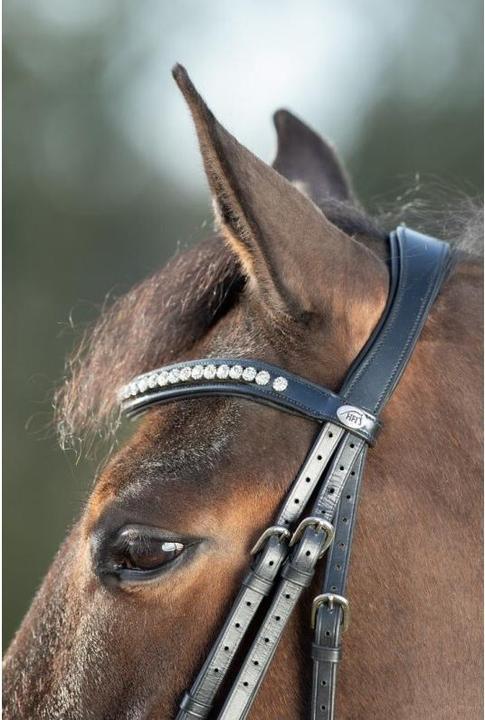 Image du produit HFI Master Shiny