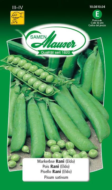 Image du produit Samen Mauser Pois Rani (Graines de légumes)