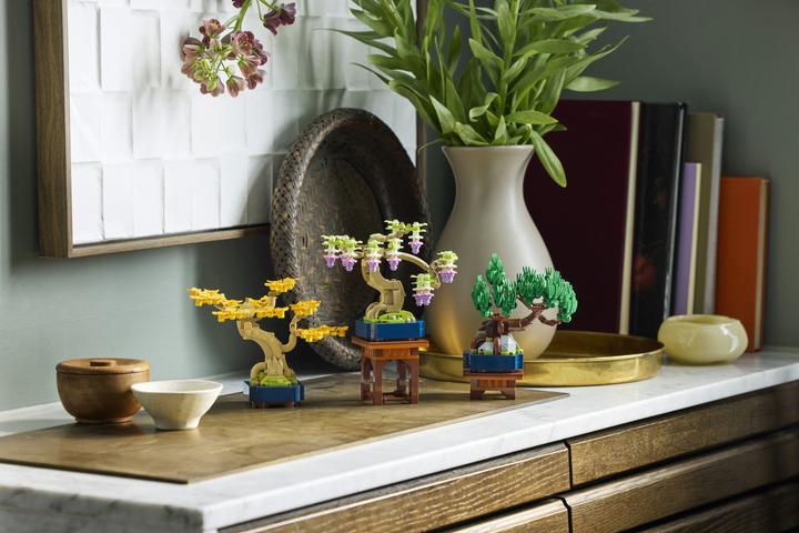 Produktbild LEGO Mini-Bonsais Set (10373, LEGO Botanicals)