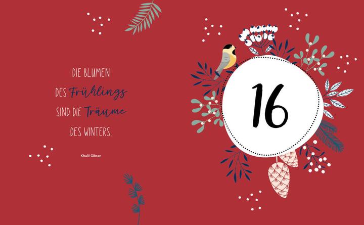 Productafbeelding Mijn Adventskalender Boek Tuindecoratie Liefde