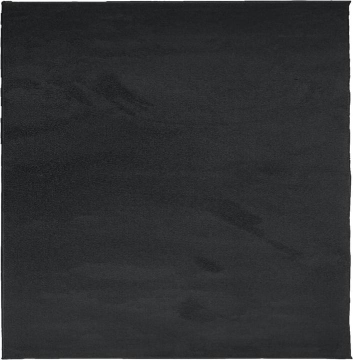 Produktbild vidaXL Teppich (200 x 200 cm)