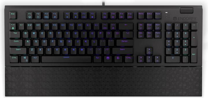 Actual product image Endorfy Omnis keyboard USB QWERTY Black (US, Cable)