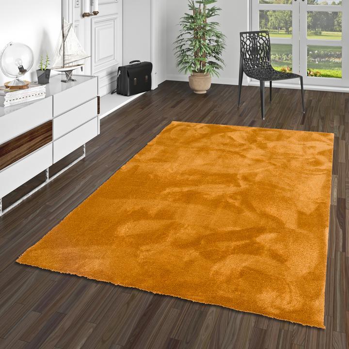 Immagine prodotto Snapstyle Super Soft Hochflorteppich Livorno (160 x 160 cm)