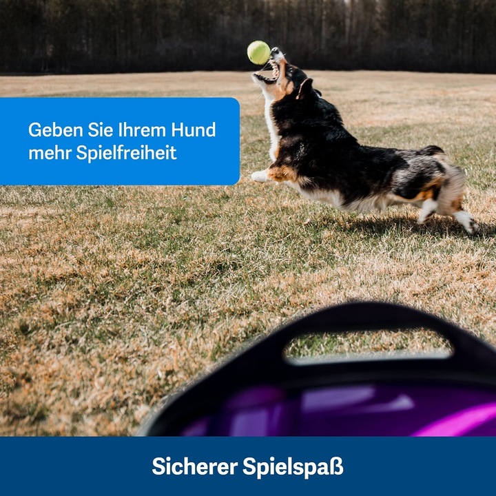 Immagine prodotto PetSafe Lanciatore di palle (Palla giocattolo per cani)