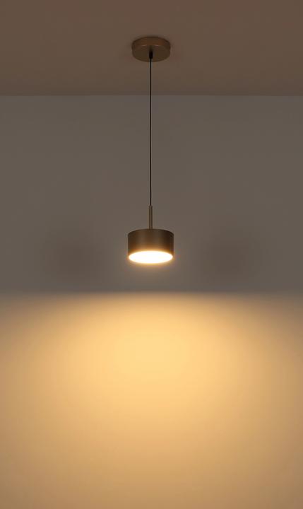 Produktbild Globo HÄNGELEUCHTE 12W LED 3000K 1F / RAYMOND CHAMP.26B602 56964H (1200 lm)