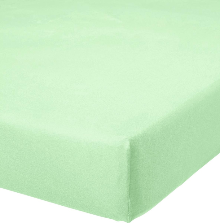 Verde menta