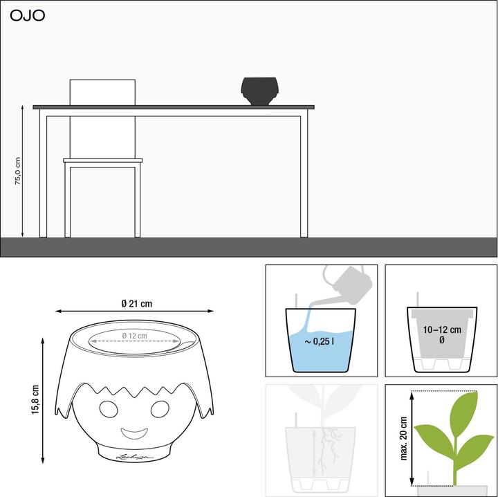 Produktbild Lechuza Ojo (21 x 15.80 cm)