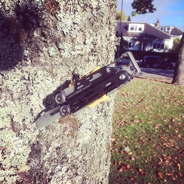 Produktbild Leatherman Signal Samurai Edition Damascus (19 Funktionen)