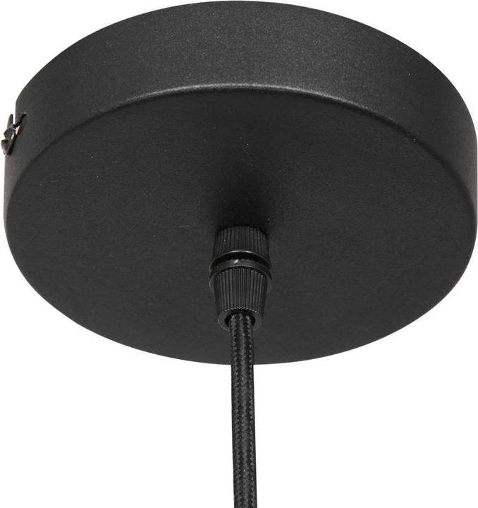 Immagine prodotto Steinhauer Bollique