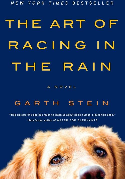 Actual product image The Art of Racing in the Rain (English, Garth Stone, 2011)