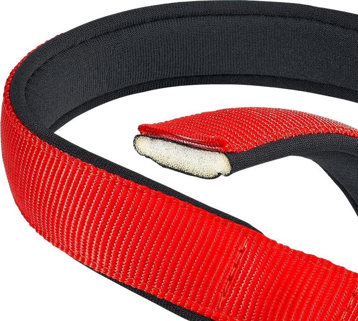 Productafbeelding Ferplast Daytona C20/43 - Hondekraag rood (Hond)