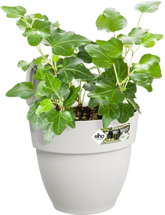 Actual product image Elho Flower Bowl (24.10 x 20.50 x 26.50 cm)