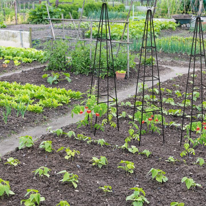 Actual product image Relaxdays Climbing aid (38 cm, 38 cm)