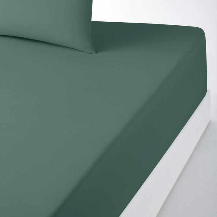 Produktbild La Redoute Interieurs Scenario Polycoton (160 x 200 cm)
