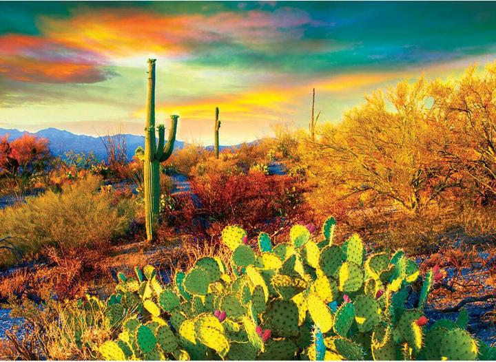 Image du produit Eurographics Rêves de désert - 1000 pièces (1000 pièces)